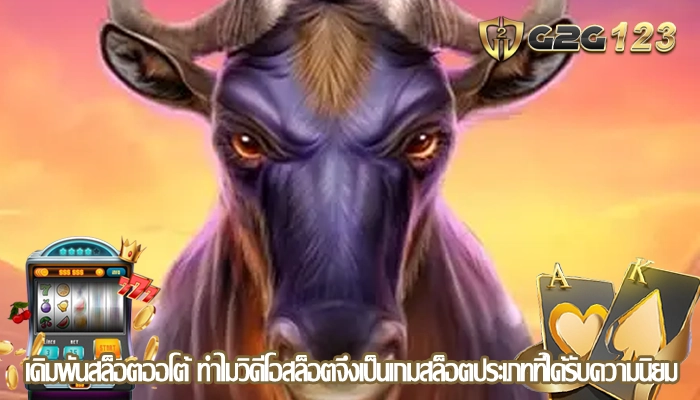 เดิมพันสล็อตออโต้ ทำไมวิดีโอสล็อตจึงเป็นเกมสล็อตประเภทที่ได้รับความนิยม
